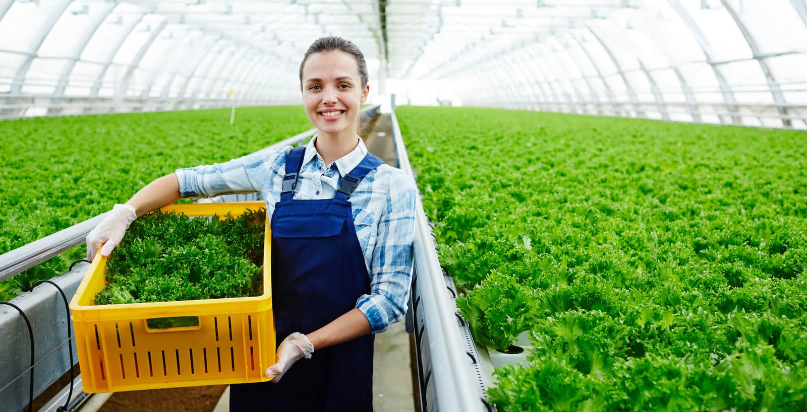 Entorno Agroindustrial