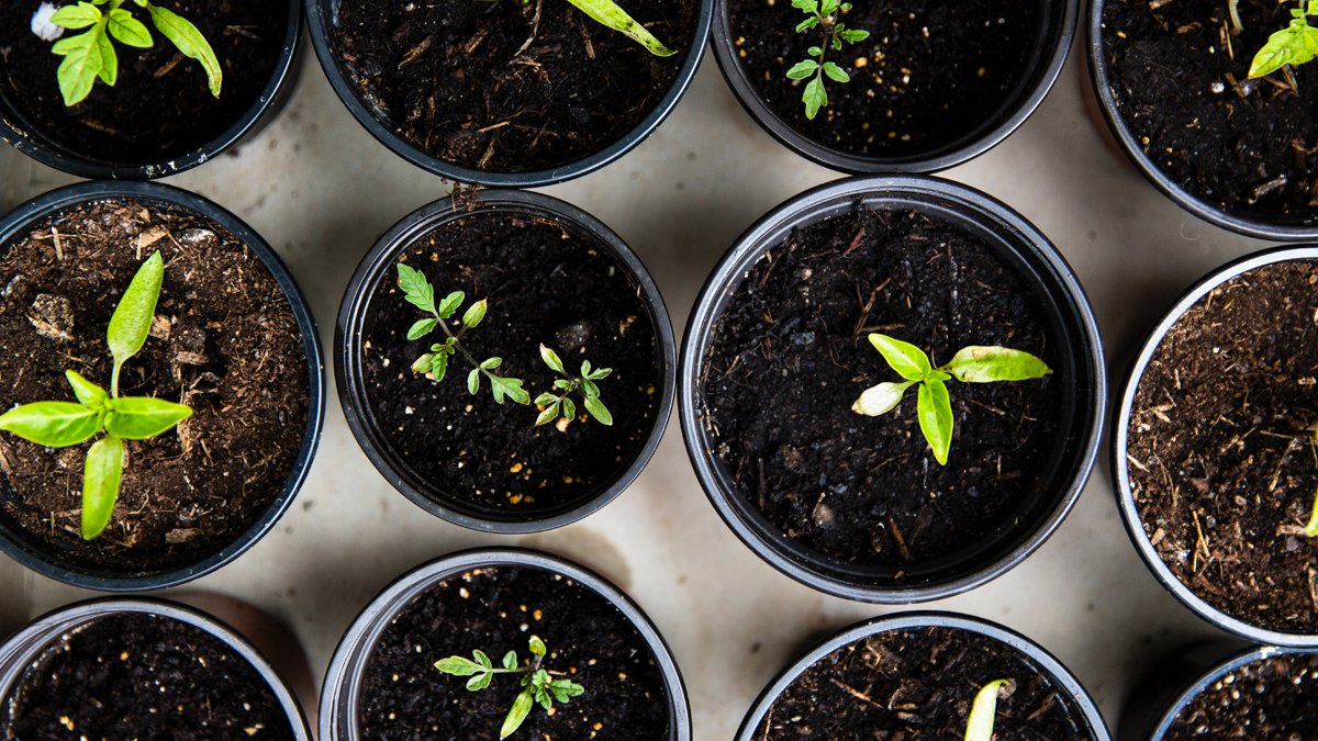 necesidades financieras startup capsa vida