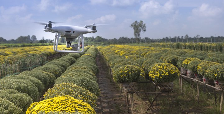 startup agroalimentaria dron sobrevolando campo