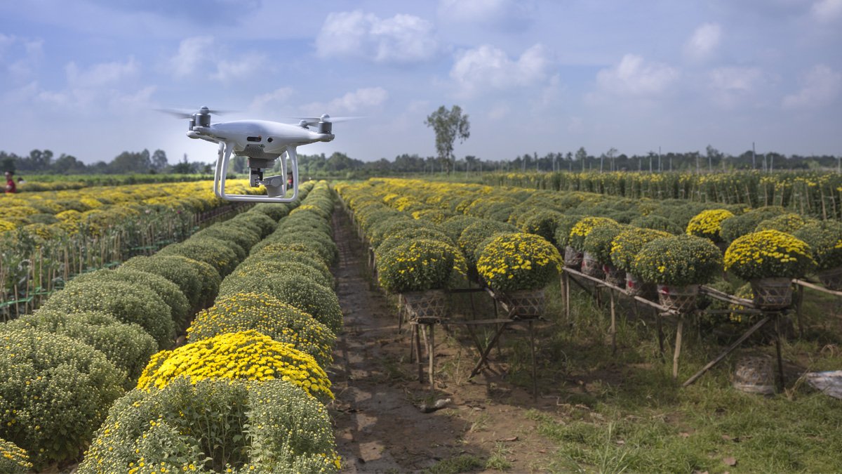 Startup agroalimentaria capsa vida