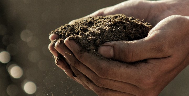 manos de hombre con tierra del campo alimentacion sostenible startups 