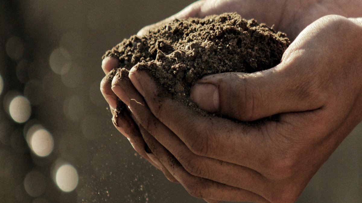 manos de hombre llenas de tierra de campo alimentacion sostenible capsa vida