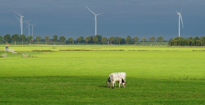 eficiencia energetica ganaderia