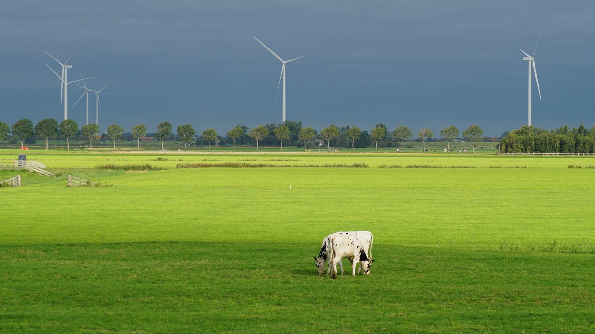startups eficiencia energetica capsa vida