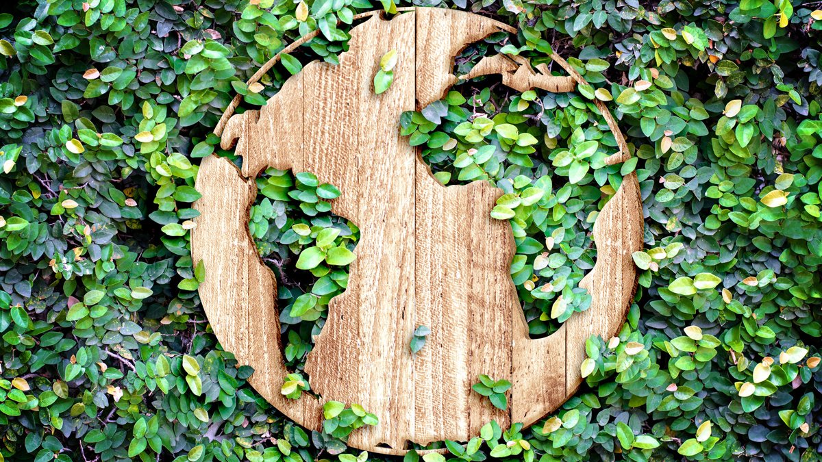 mapamundi de madera rodeado de naturaleza capsa vida