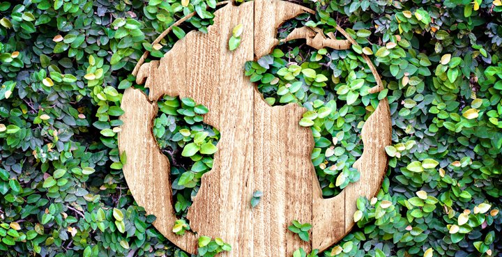 mapamundi de madera rodeado de naturaleza el crecimiento economico es compatible con el desarrollo sostenible