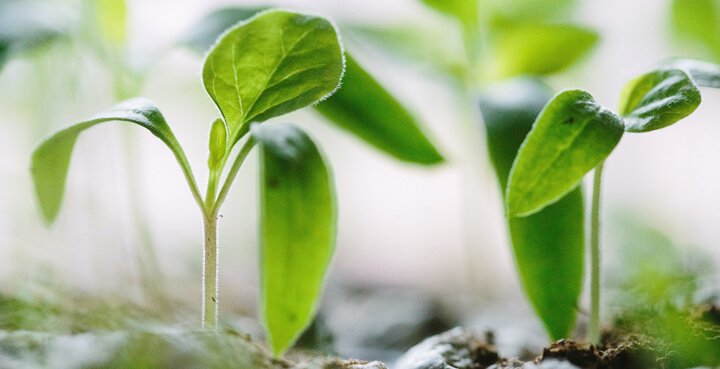 tecnologia en la agricultura