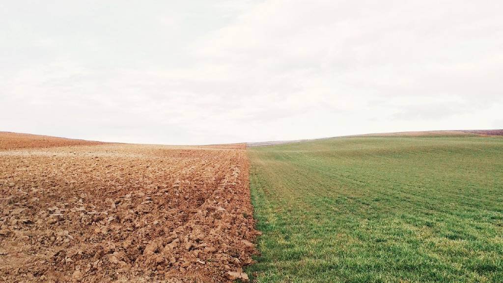 tierra seca y tierra verde