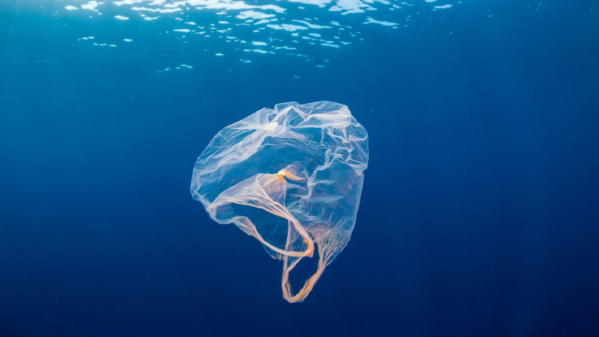 bolsa plastico flotando mar