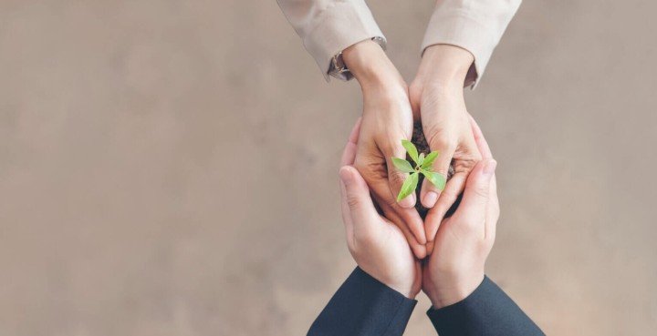 manos de dos personas sujetando una misma planta